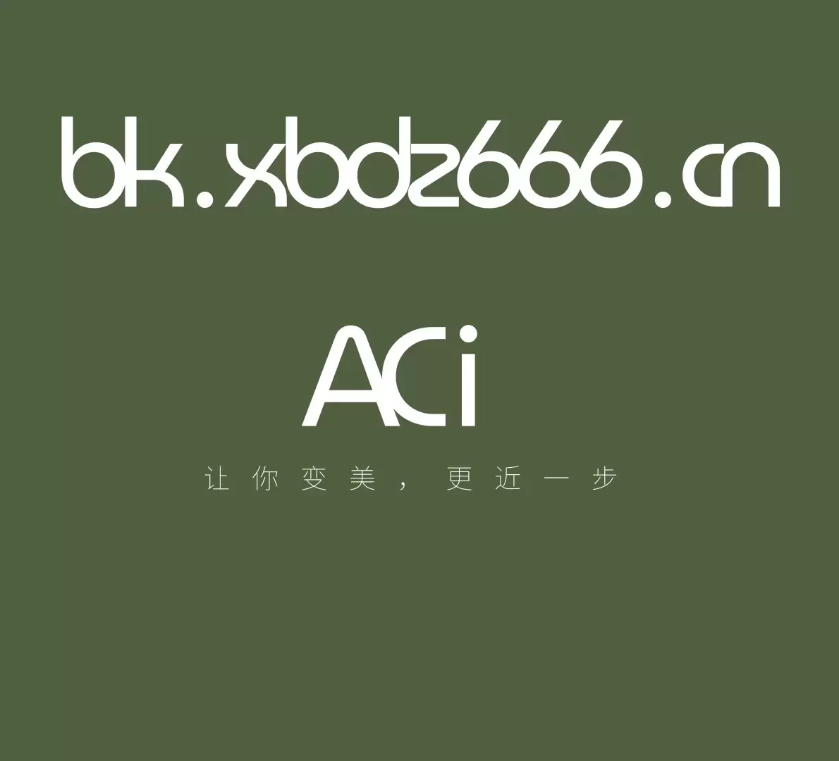 ACI-小白Blog